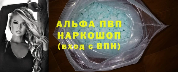 стаф Вяземский