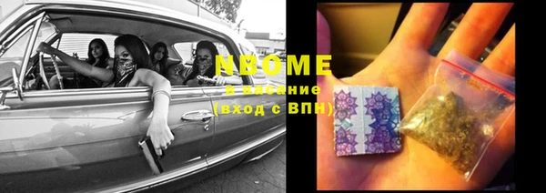 стаф Вяземский