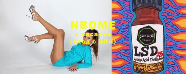 стаф Вяземский