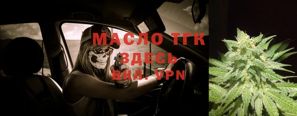 стаф Вяземский