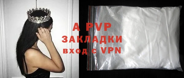 стаф Вяземский
