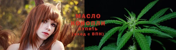 стаф Вяземский