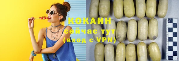 стаф Вяземский