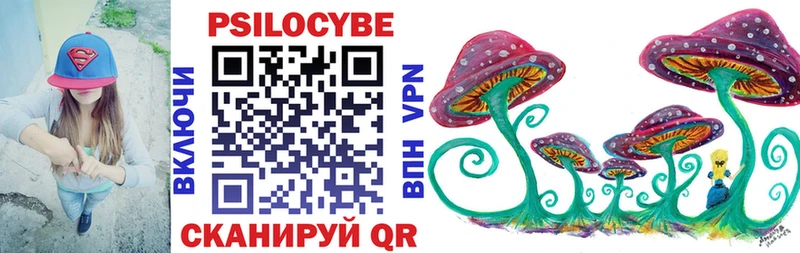 Купить закладки Красный Кут Галлюциногенные грибы GOLDEN TEACHER