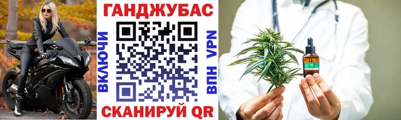 Купить  Красный Кут  МАРИХУАНА сатива 